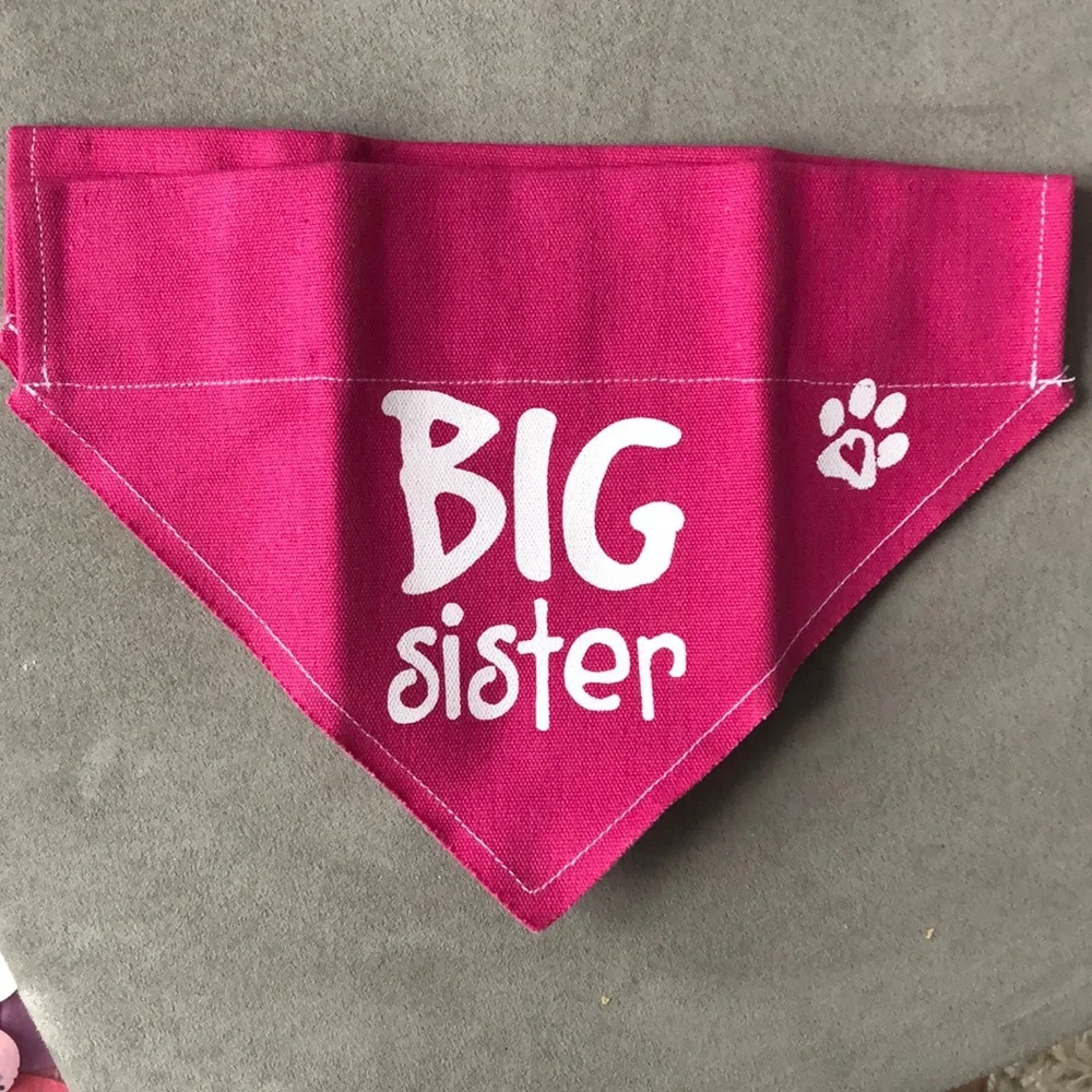 Big Sister Pink Dog Bandana - Pet Accessory